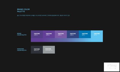 虛實(shí)交融，智啟未來(lái)——虛擬現(xiàn)實(shí)人工智能開(kāi)發(fā)公司VI設(shè)計(jì)探索